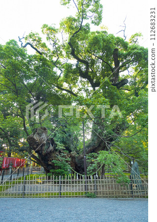 濱松八幡宮雲館湯 濱松八幡宮雲館湯 112683231