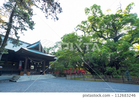 Hamamatsu Hachimangu shrine building and Kumodate sous vide 112683246