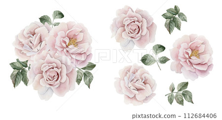 Composition of pink rose hip flowers with leaves and isolates. Victorian style rose. Floral watercolor illustration hand painted isolated on white background. Perfect for invitation, cards, posters, l Composition of pink rose hip flowers with leaves and isolates. Victorian style rose. Floral watercolor illustration hand painted isolated on white background. Perfect for invitation, cards, posters, l 112684406