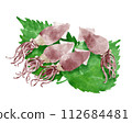Illustration of a firefly squid riding on a perilla leaf 112684481