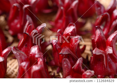 Fresh roselle (Hibiscus sabdariffa), Herbal plant, ingredient in beverage Fresh roselle (Hibiscus sabdariffa), Herbal plant, ingredient in beverage 112684829