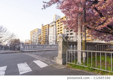 春天的京都：一座桃橋的河津櫻花 112685160