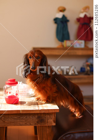 german ducks 112685286