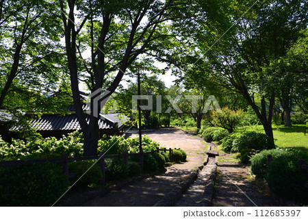 白川關之森公園 2023-7-2 #43 112685397