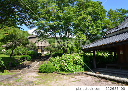 白川關之森公園 2023-7-2 #46 112685400