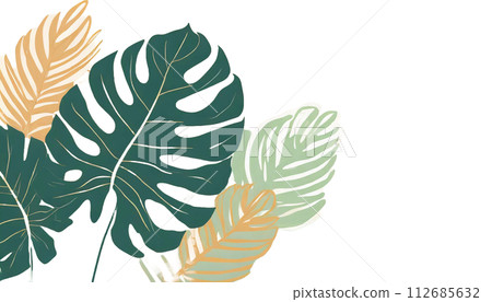 帶有深凹口的龜背竹葉的插圖 112685632