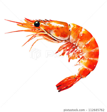 逼真的蝦插畫 逼真的蝦插畫 112685762