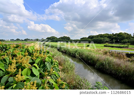 皆沼田農場/香田屋新田香田屋河 112686015