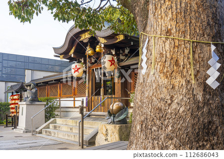 京都晴明神社神樹與參拜殿/正殿 京都晴明神社神樹與參拜殿/正殿 112686043