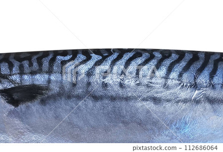 Patterns of mackerel, a blue fish rich in DHA and EPA 112686064