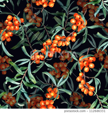 Seamless pattern with medicinal plant sea buckthorn branches. Hand drawn watercolor botanical illustration for wrapping wallpaper fabric textile 112686331