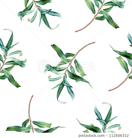 Watercolor botanical seamless pattern with sea buckthorn leaves branches. Hand drawn illustration on isolated background for wrapping wallpaper fabric textile Watercolor botanical seamless pattern with sea buckthorn leaves branches. Hand drawn illustration on isolated background for wrapping wallpaper fabric textile 112686332