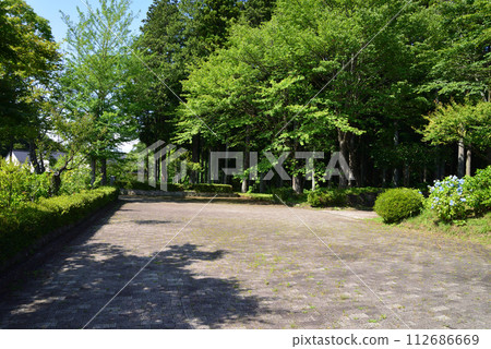 白川關之森公園 2023-7-2 #67 白川關之森公園 2023-7-2 #67 112686669