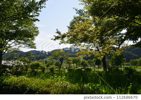 Shirakawa Sekinomori Park 2023-7-2 #68 112686670