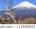 Fuji and plum 112686833