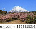 Fuji and Kawazu cherry tree 112686834