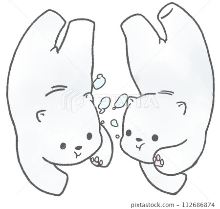 2 polar bears underwater 2 polar bears underwater 112686874