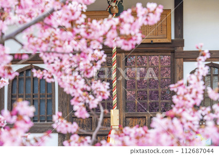 春天，京都長德寺地藏堂玻璃門上倒映著岡龜櫻花 112687044