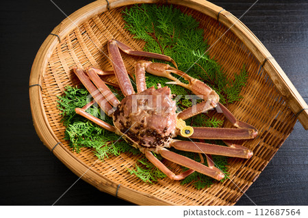 Live Echizen crab from Fukui Prefecture 112687564