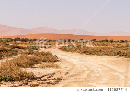 Desert landscape near Sossusvlei Desert landscape near Sossusvlei 112687744