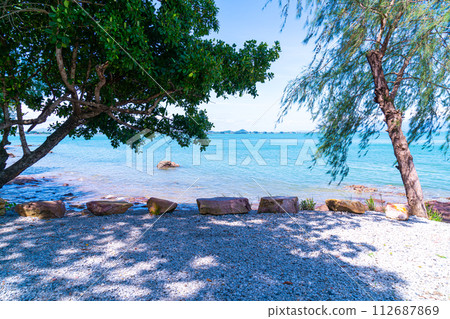 The Pink Coast or Lan Him Chomphu at Chanthaburi in Thailand 112687869