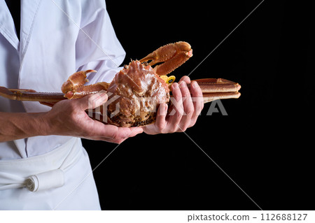 板前拿著活的越前蟹 板前拿著活的越前蟹 112688127