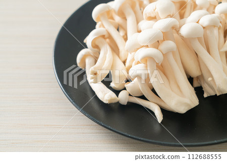 white beech mushroom or white reishi mushroom white beech mushroom or white reishi mushroom 112688555