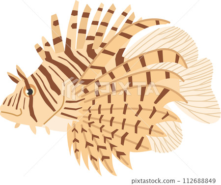 Simple lionfish image illustration Simple lionfish image illustration 112688849