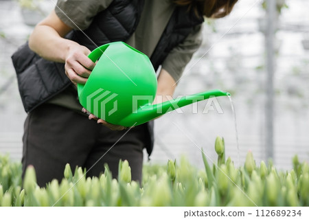 A woman gardener waters a flower bed of tulips using a watering can. Gardening hobby concept A woman gardener waters a flower bed of tulips using a watering can. Gardening hobby concept 112689234