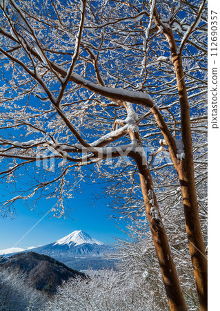 從白雪皚皚的御坂嶺眺望白雪皚皚的富士山和霜凍的樹木 112690357