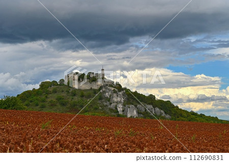 Ruins of Falkenstein Castle with vineyard in autumn. Lower Austria, Austria 112690831