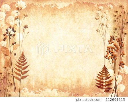 Retro background with dry pressed leaves and flowers on paper texture. Craft eco paper sheet backdrop with grunge textured and herbarium. Nostalgic scrapbooking banner with vintage cardboard material Retro background with dry pressed leaves and flowers on paper texture. Craft eco paper sheet backdrop with grunge textured and herbarium. Nostalgic scrapbooking banner with vintage cardboard material 112691615