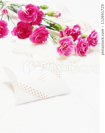 Gift box carnation (white background, no people, copy space) Gift box carnation (white background, no people, copy space) 112691729