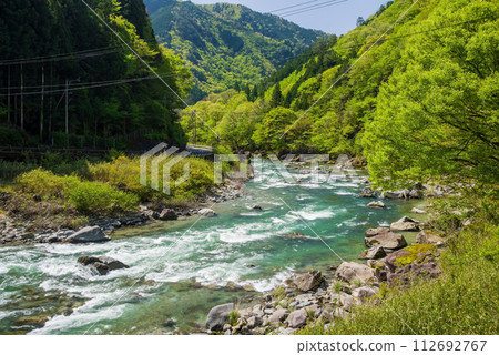 Beautiful fresh greenery along the Mase River [Mase Michi-no-Eki Mase Miki no Sato-mae, Gero City, Gifu Prefecture] 112692767