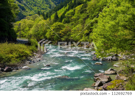 馬瀨川沿岸美麗的新綠【岐阜縣下呂市馬瀨道之站馬瀨三木之裡前】 112692769