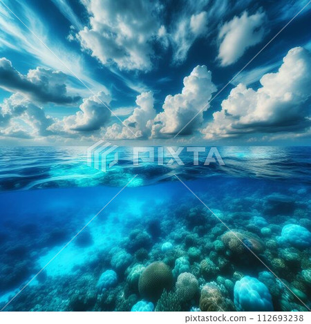 Coral and the blue sea 112693238