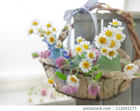 North pole North pole 112693275