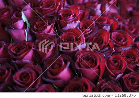 深紅玫瑰(花束) 深紅玫瑰(花束) 112693370