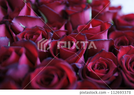 深紅玫瑰(花束) 深紅玫瑰(花束) 112693378