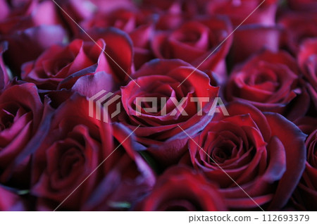 深紅玫瑰（花束） 112693379