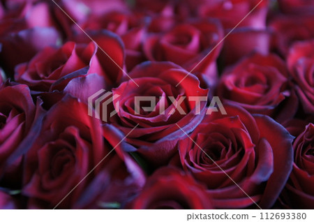 深紅玫瑰(花束) 深紅玫瑰(花束) 112693380