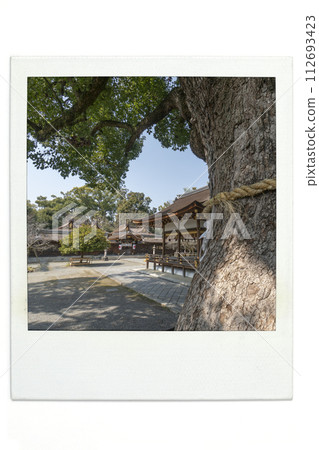 Hirano Shrine Pola style 112693423