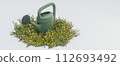 watering can isolated on white background 112693492
