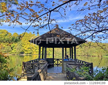 練馬區石神井公園東屋 112694199