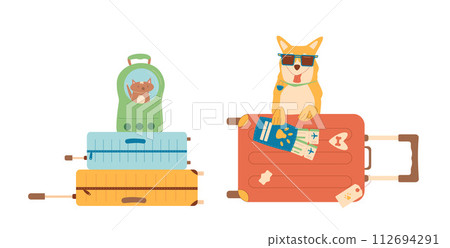 Pets travel set. Trip with cats and dogs. Transportation box and backpack carrier, passport with tickets and domestic animals. Vector illustration 112694291