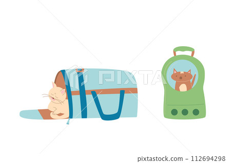 Travel with cat. Kittens sitting n pets carrier and backpack. Domestic animals transportation boxes. Vector illustration 112694298