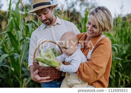 Portrait of parents with beautiful baby harvesting corn on the field. 112695631
