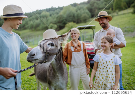 Farmer family walking with donkey on their farm. A gray mule wearing hat. Donkey as a farm animal at the family farm. Farmer family walking with donkey on their farm. A gray mule wearing hat. Donkey as a farm animal at the family farm. 112695634