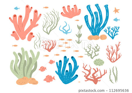 Coral reef and seaweed set isolated on white background. Sea underwater elements. Vector flat illustration 112695636