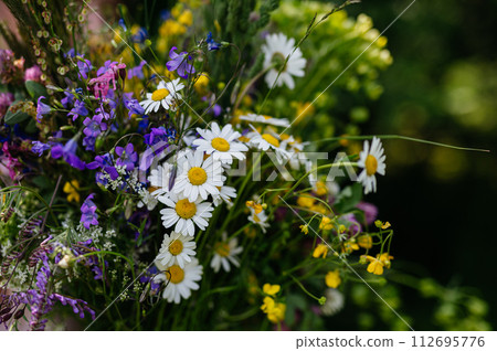 Full beautiful bouquet from meadow flowers. A colorful variety of summer wildflowers. Full beautiful bouquet from meadow flowers. A colorful variety of summer wildflowers. 112695776